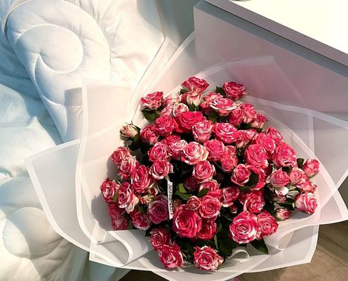 صورة Shaima00 من السعودية مدينة جدة