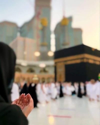 صورة سمراء ورد من السعودية مدينة المدينة المنورة