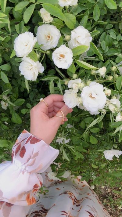 صورة دعاء اليمانيه