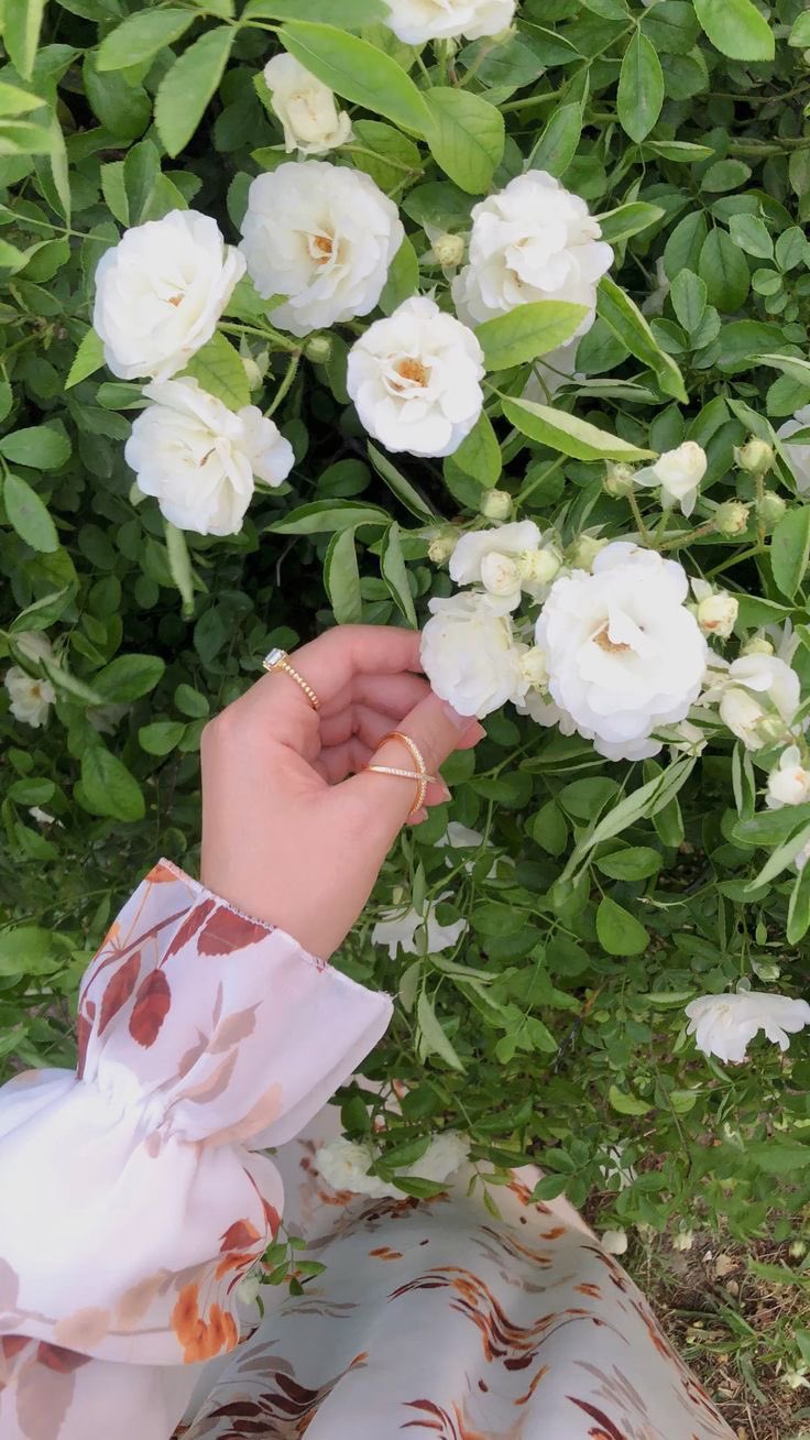 صورة دعاء اليمانيه من اليمن مدينة إب