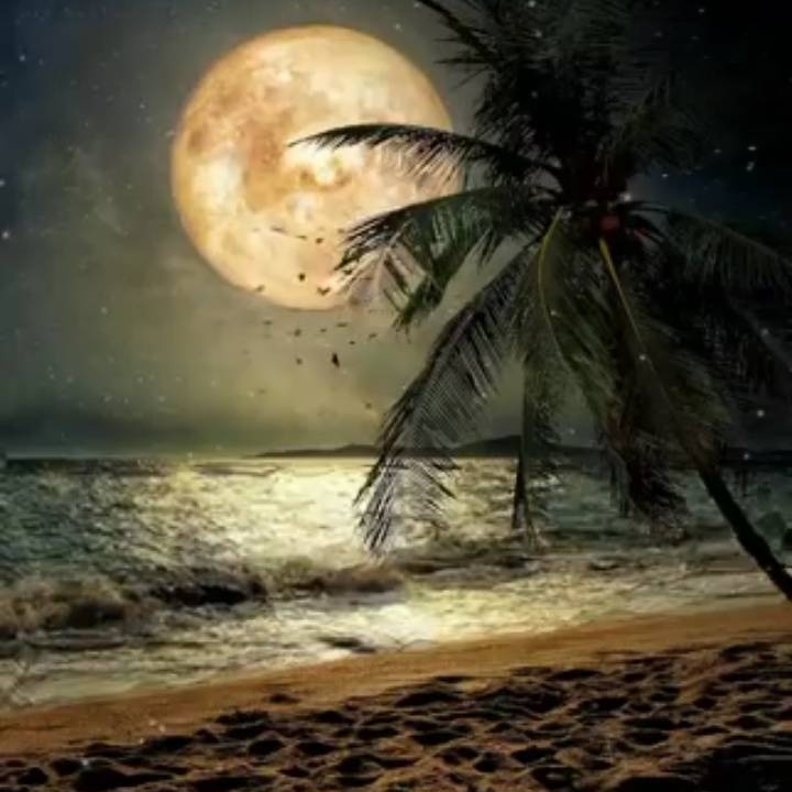 صورة nabil82 من عمان مدينة صلاله