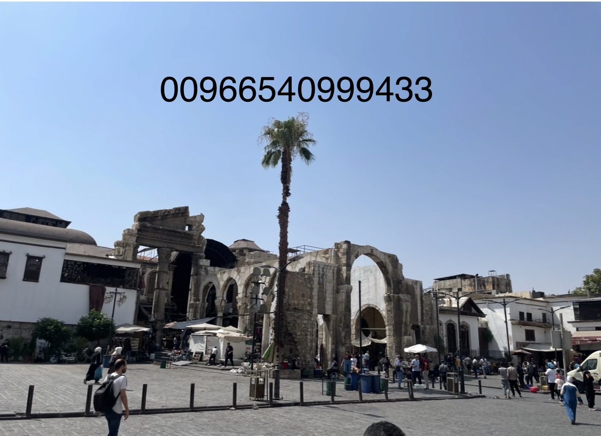 الصورة الشخصية للعضو Aamer