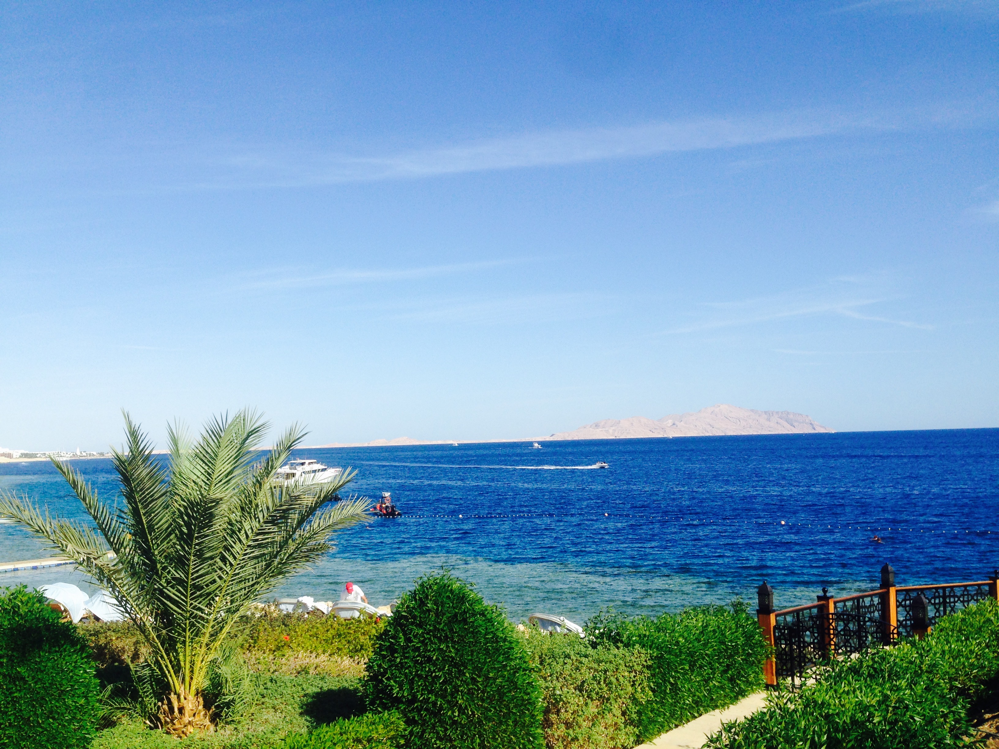 صورة Q8