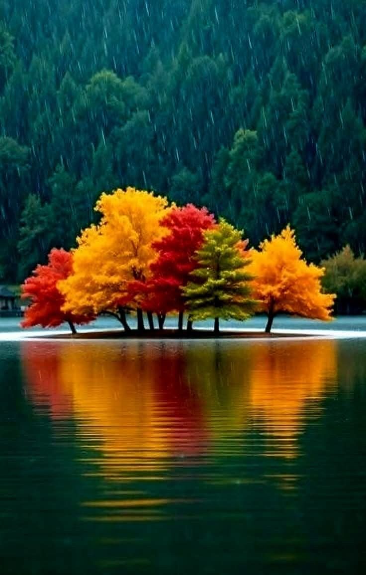 صورة Kanhal من السعودية مدينة الرياض