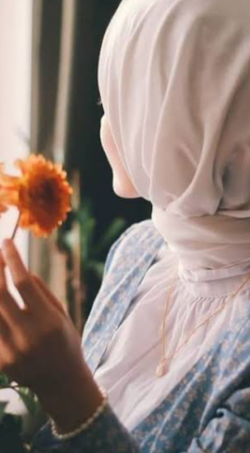 صورة تسنيم27 من السعودية مدينة الرياض