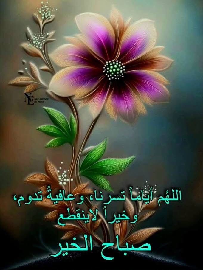 صورة Mmmالنجم الثاقب