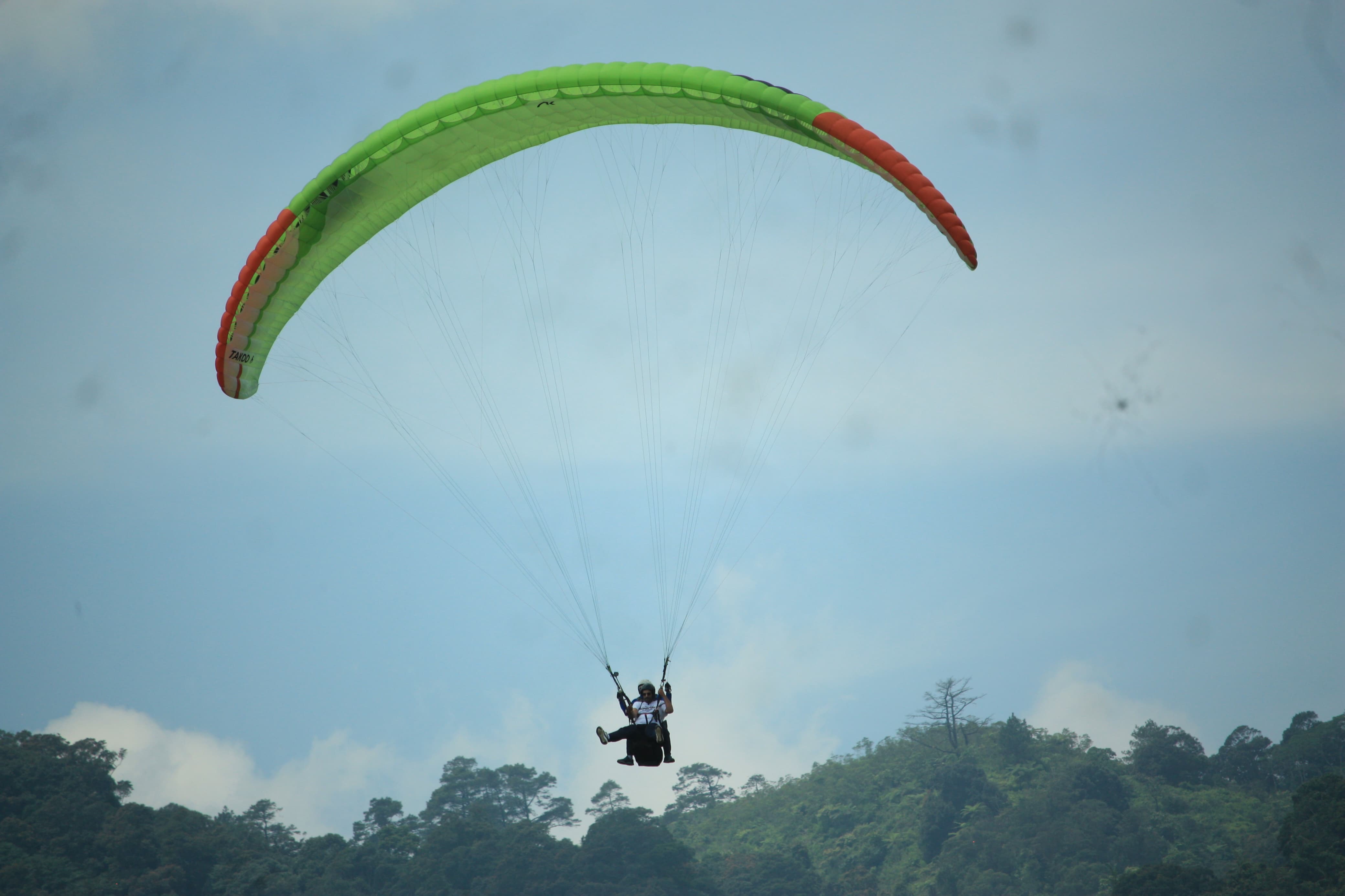 صورة mohamad1403 من السعودية مدينة حائل