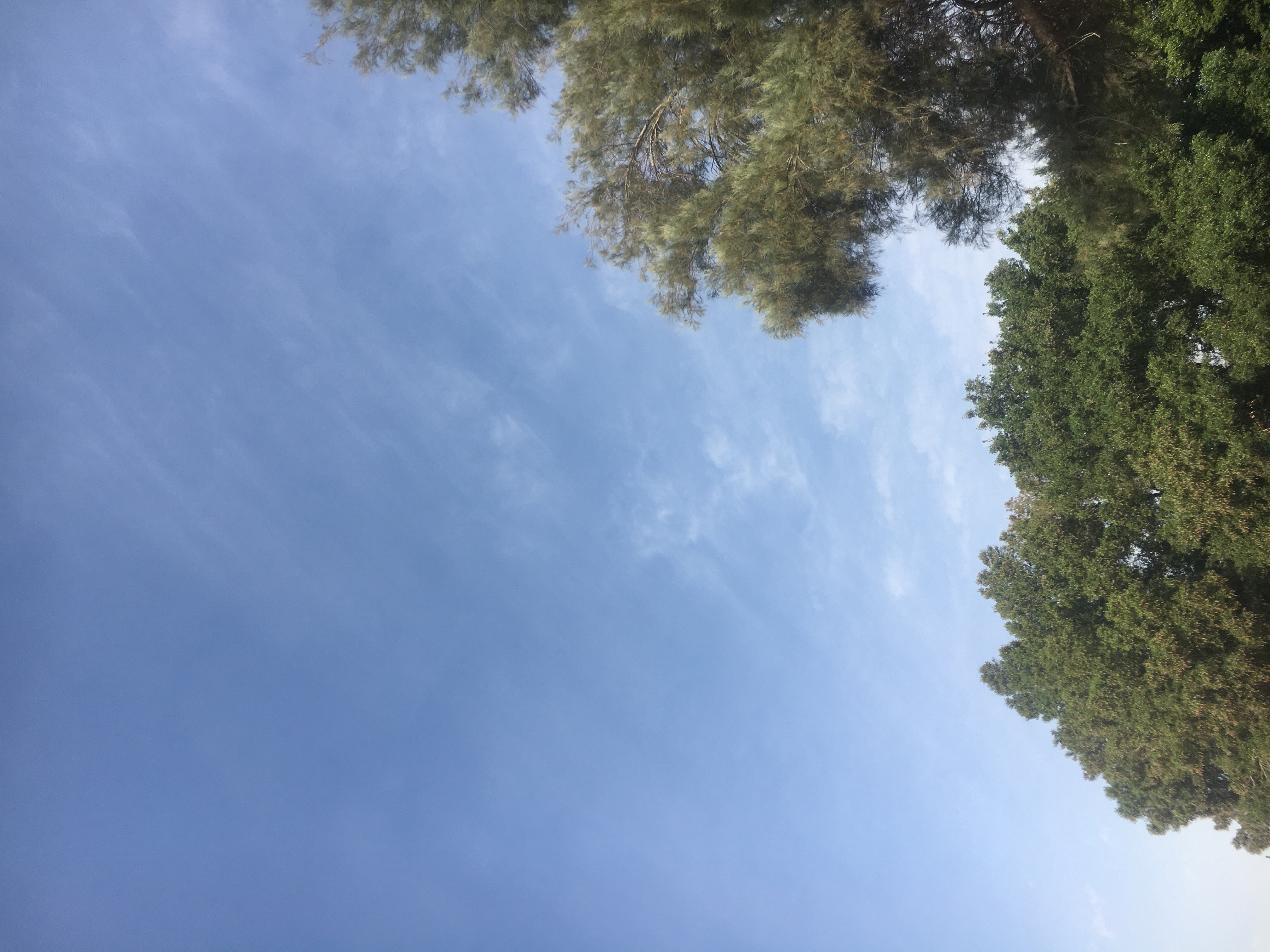 صورة احمد السيدمحمد من الكويت مدينة السالمية