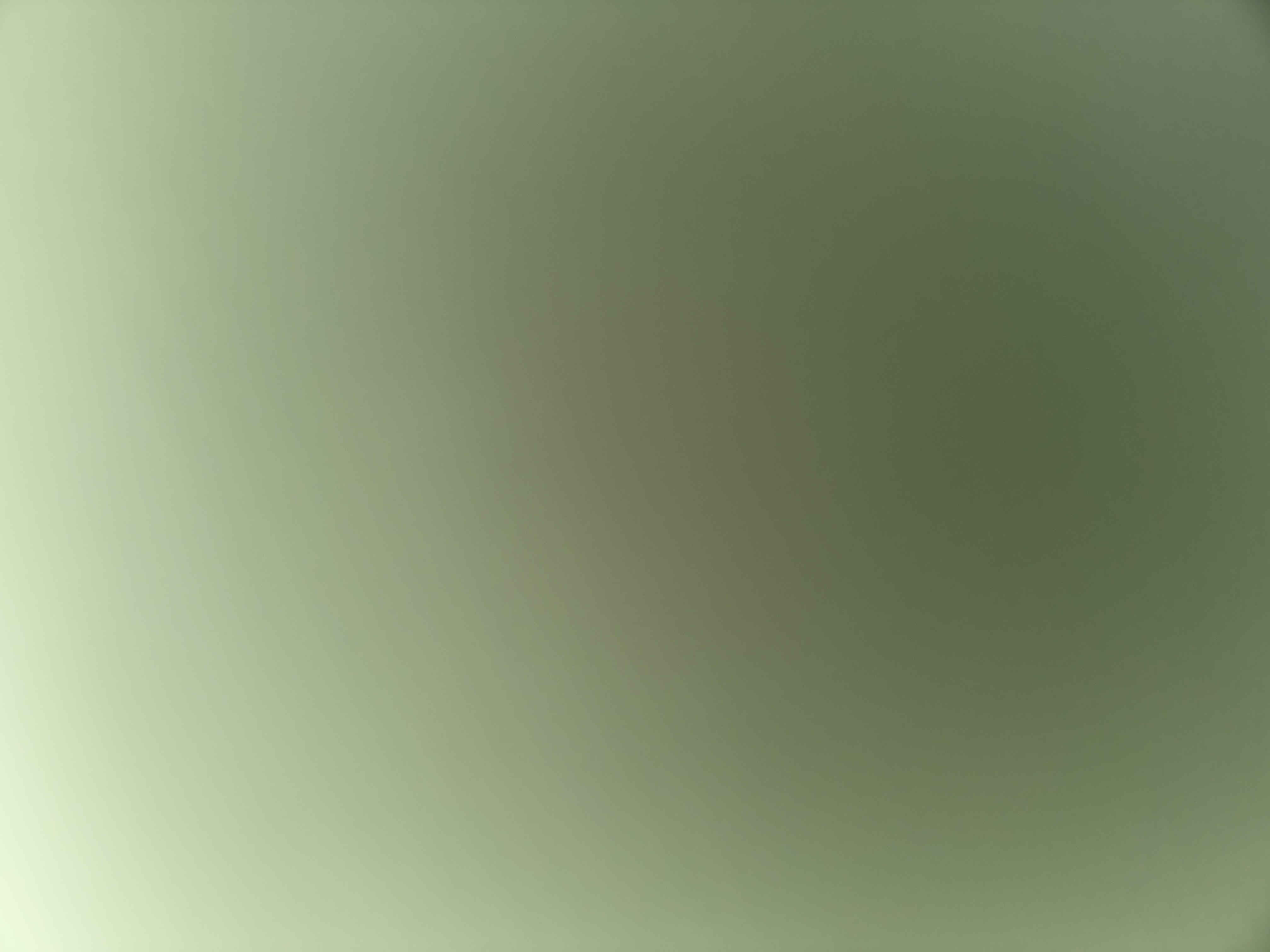 صورة Mn9123 من السعودية مدينة أبها