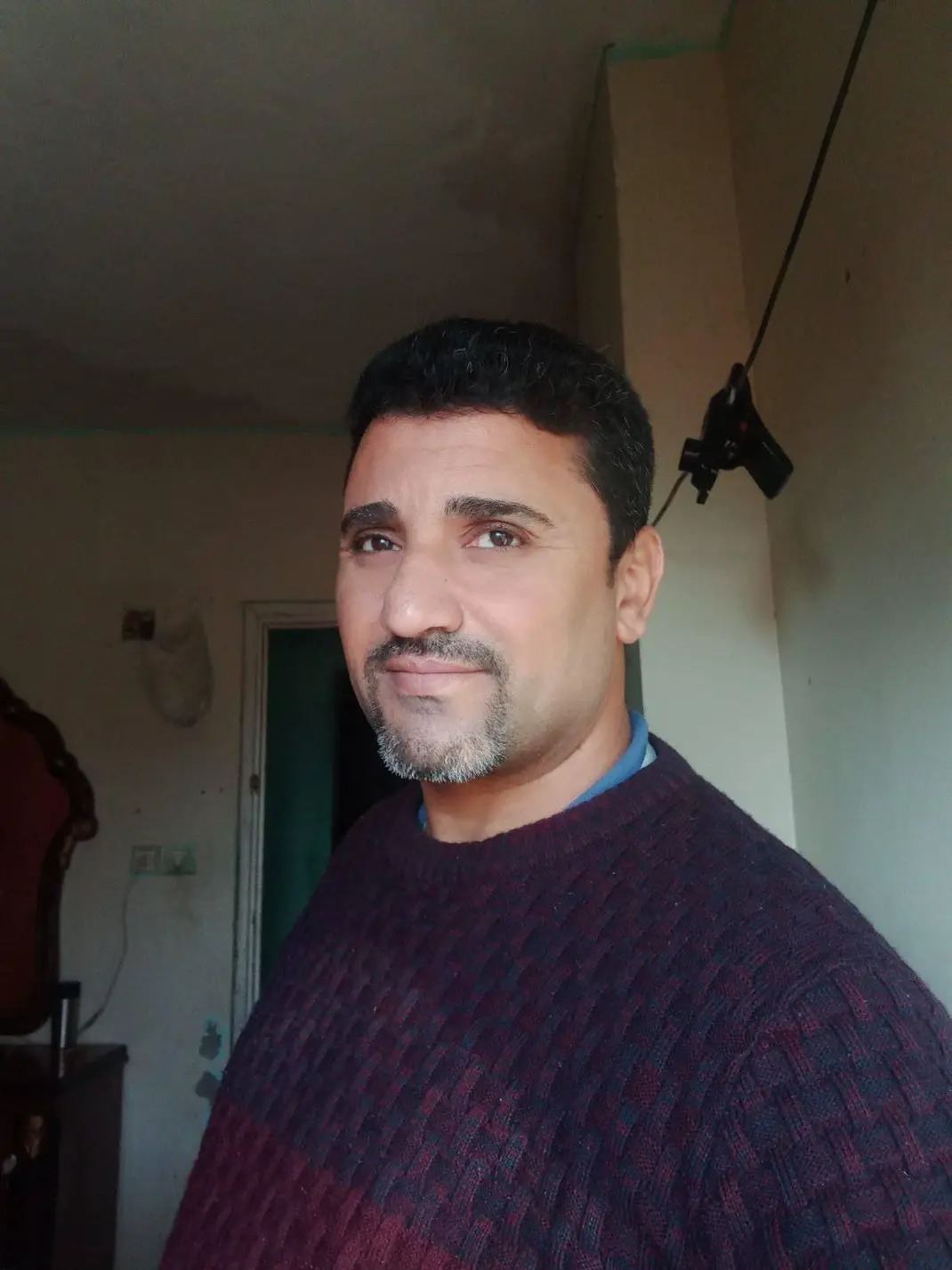 صورة النسرالجارح من مصر مدينة الزقازيق